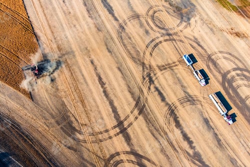 Preview: Top view of a harvester working in a field and mows wheat