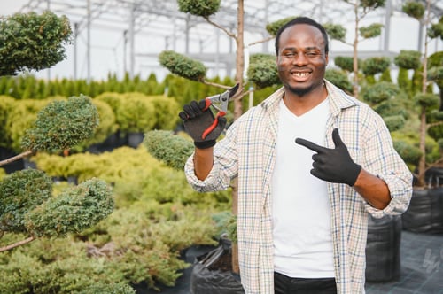 Preview: african american male garden worker works