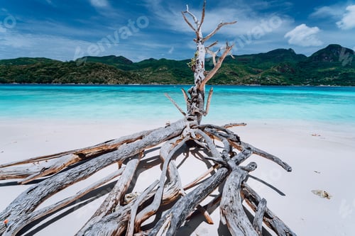 Preview: Panorama of exotic tropical island with clear turquoise lagoon and dry tree on white sand beach