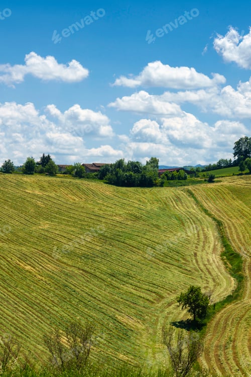 Preview: Rural landscape near Sala Baganza and Fornovo, Parma, at springtime
