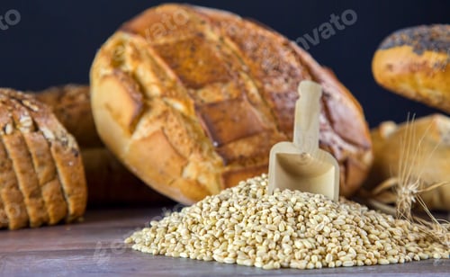 Preview: Delicious Fresh Bread Food Concept