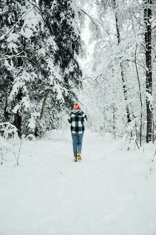 Preview: Winter's tale. Snowy forest. Narnia.
Girl in the snowy forest.