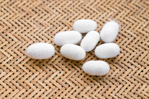 Preview: white silk cocoon, silky, fiber