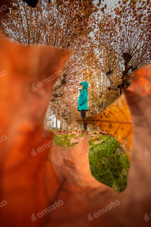 Preview: Woman in turquoise jacket framed by autumn leaves. Lifestyle. Autumn.