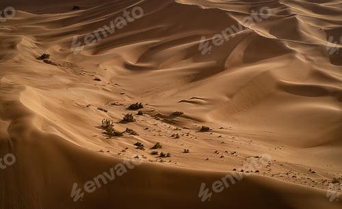 Preview: Aerial view of a desert landscape - perfect for wallpapers