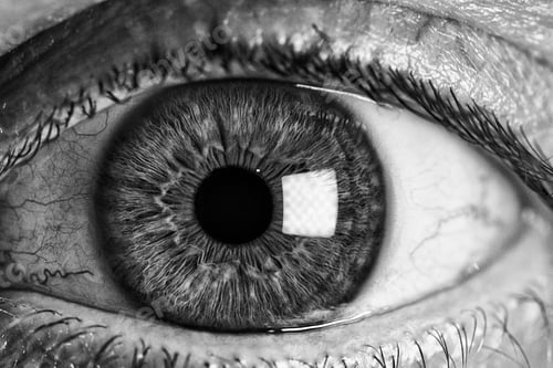 Preview: Grayscale shot of a human eye
