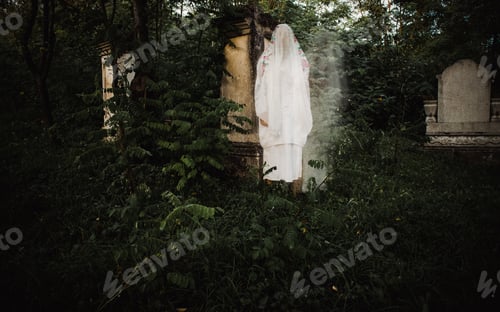 Preview: scary ghost in cemetery at night Halloween background
