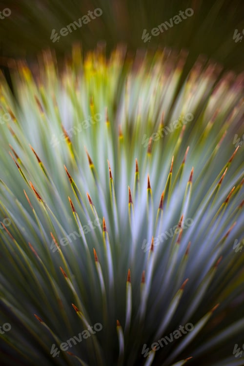 Preview: Vegetation background
