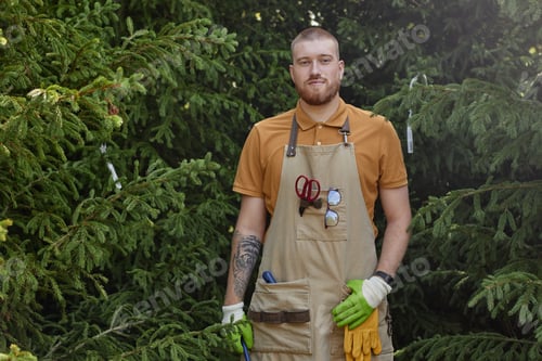 Preview: Portrait of Male Plant Nursery Worker in Garden Apron Posing against Fir Trees Outdoors