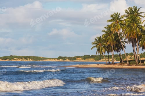 Preview: Tropical beach