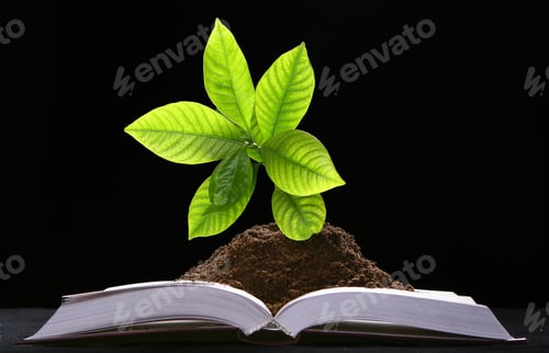 Preview: green plant growth from book