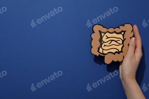 Preview: Concept of health care and internal organs - intestines