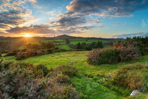 Preview: Dartmoor National Park