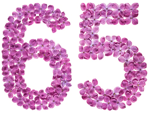 Preview: Arabic numeral 65, sixty five, from flowers of lilac, isolated on white background