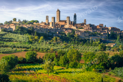 Preview: San Gimignano Skyline Above Tuscan Vineyards and Olive Groves, Italy