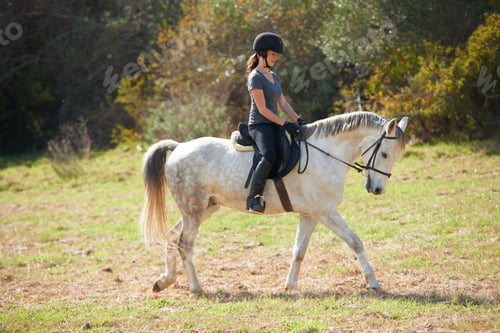 Preview: Enjoying a quiet horse ride. A young woman riding her horse.