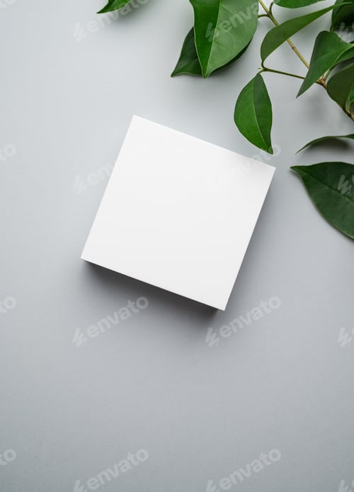 Preview: Modern empty product display. Minimal white box with green leaves on a gray background.