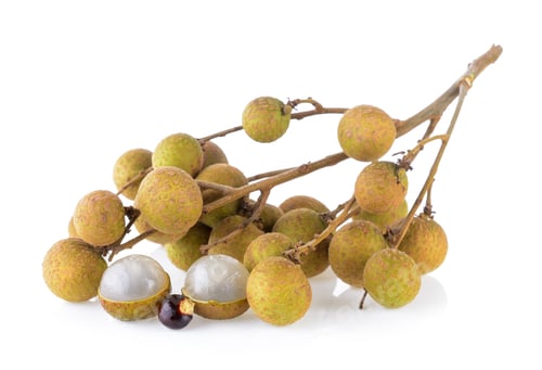 Fresh Longan Fruits on a White Background