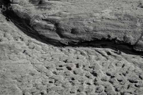 Preview: black dry rough soil textured background