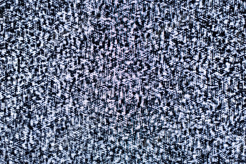 Preview: No signal to monitor