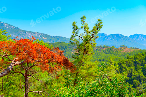 Vista previa: Mountain landscape