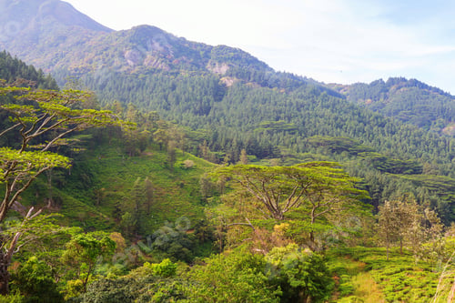 Preview: Mountains on Sri Lanka