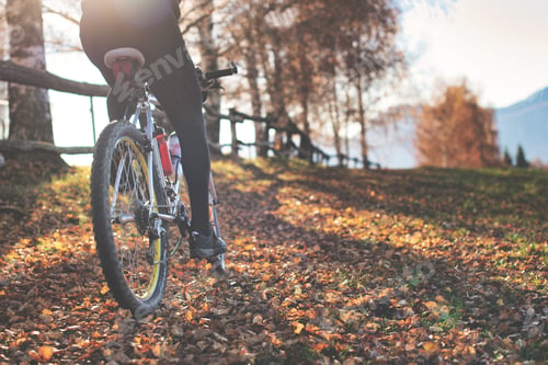 Preview: Passage of a mountain bike on leafy paths in the hills