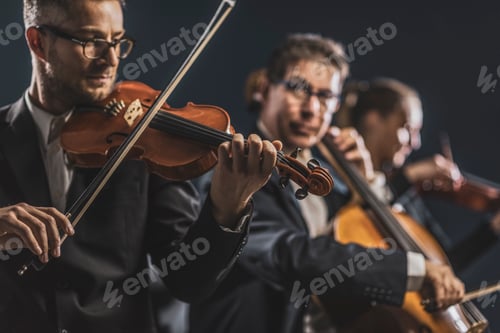 Orchestra Musicians Playing String Instruments in Concert Hall