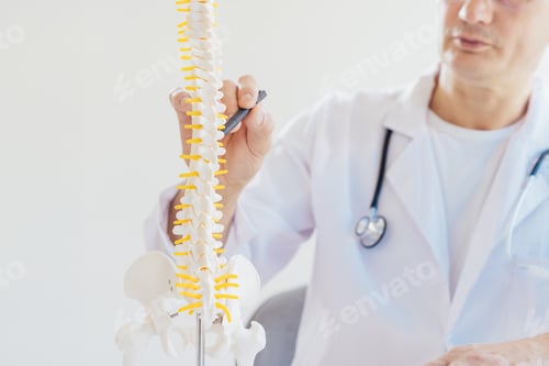 Preview: Closeup no face medical male doctor pointing on human spine model with a pen sitting in his office.