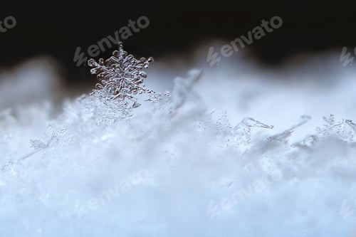 Preview: natural snowflakes