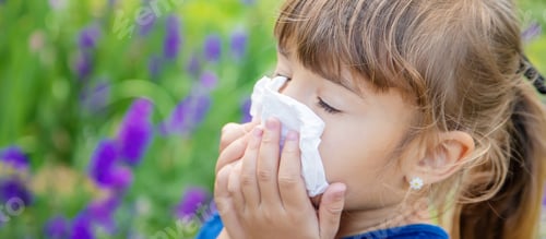 Preview: Seasonal allergy in a child. Coryza. Selective focus.