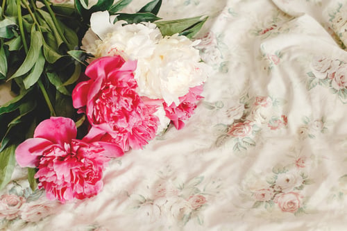 Preview: beautiful colorful peony bouquet on floral bed in the morning