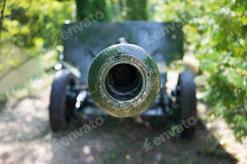 Preview: Front of the green cannon