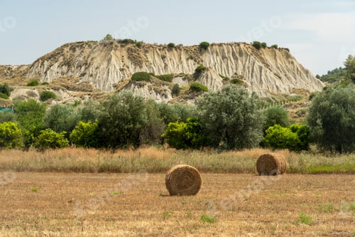 Preview: Rural landscape near Policoro, Basilicata