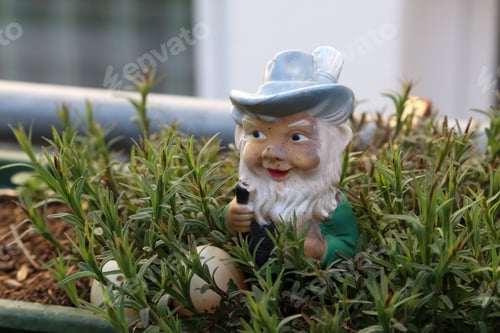 Preview: Closeup of a garden dwarf in a home garden