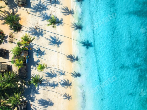 Preview: Aerial view of sandy beach, shadows of palms, blue sea at sunset