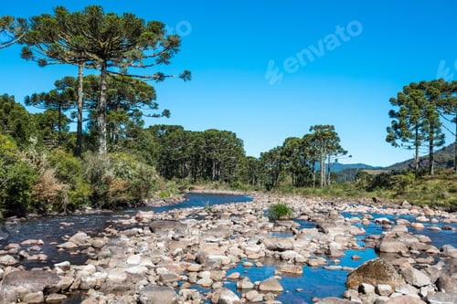 Preview: Breathtaking view of a river in the forest captured in Brazil
