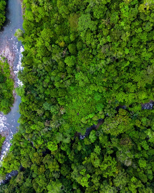 Preview: Beautiful morning view indonesia Panorama Landscape paddy fields with beauty color and sky natural