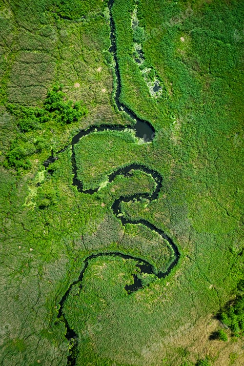 Preview: Top view of river among the green swamps, Poland