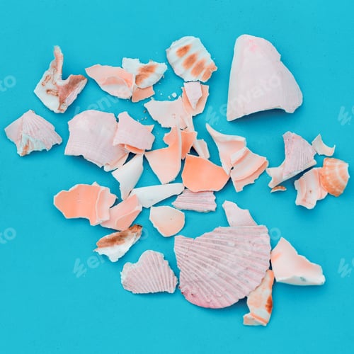 Preview: Broken Seashells Still Life Against a Blue Backdrop