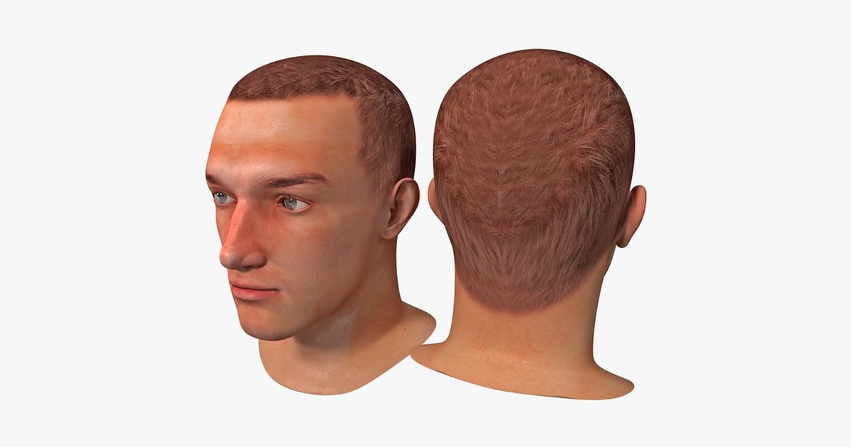 Comparative head views frontal and posterior 3D, Incl. back & face - Envato