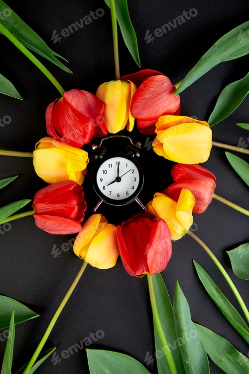 Preview: Tulips concept