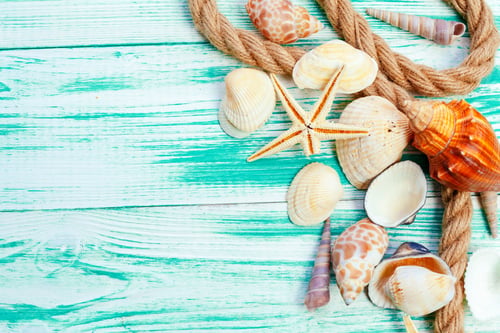 Preview: Different sea shells on color wooden background