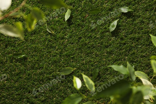 Preview: Green, freshly cut grass, with leaves, top view.