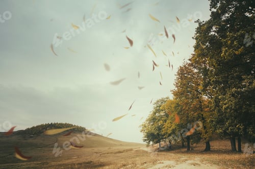 Preview: autumn landscape with leaves floating in the wind at the edge of