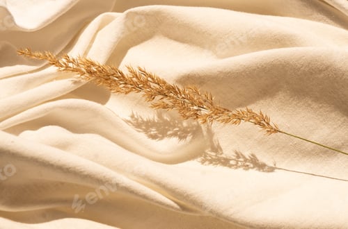 Preview: Textile flat lay background with dried flower arrangement and copy space. Organic design.