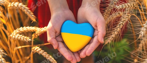 Preview: Child in a field of wheat with the flag of Ukraine. Selective focus.
