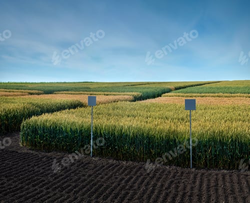 Preview: field plots, sectors of cereal species, with signposts on plowed land