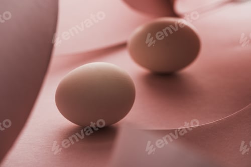 Preview: selective focus of chicken eggs in shadow in spiral paper pink swirls