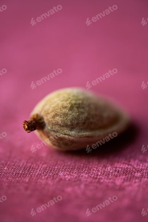 Preview: Almond in shell on pink colour table cloth